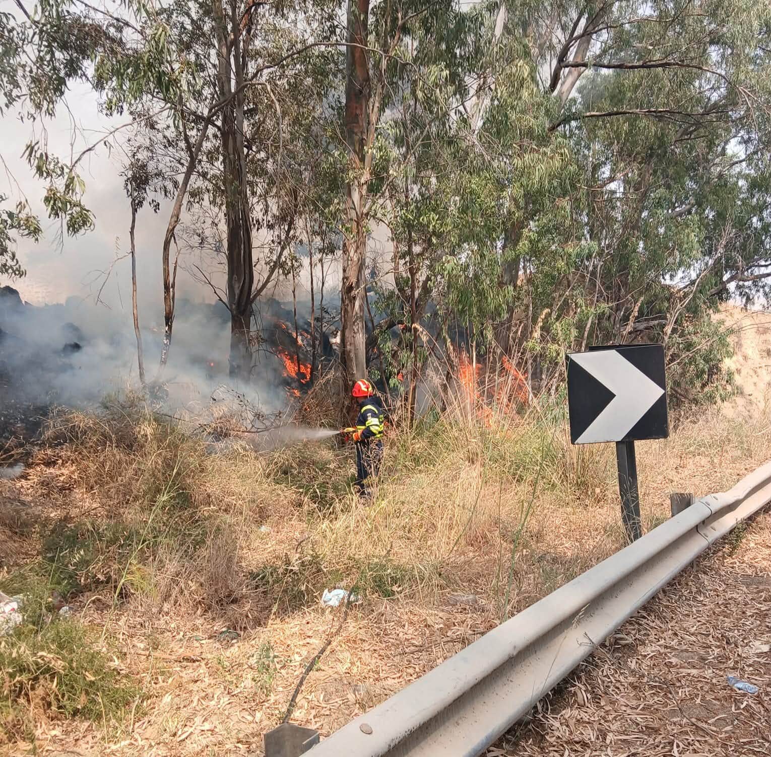 Incendi senza tregua: il sistema siciliano regge davvero?