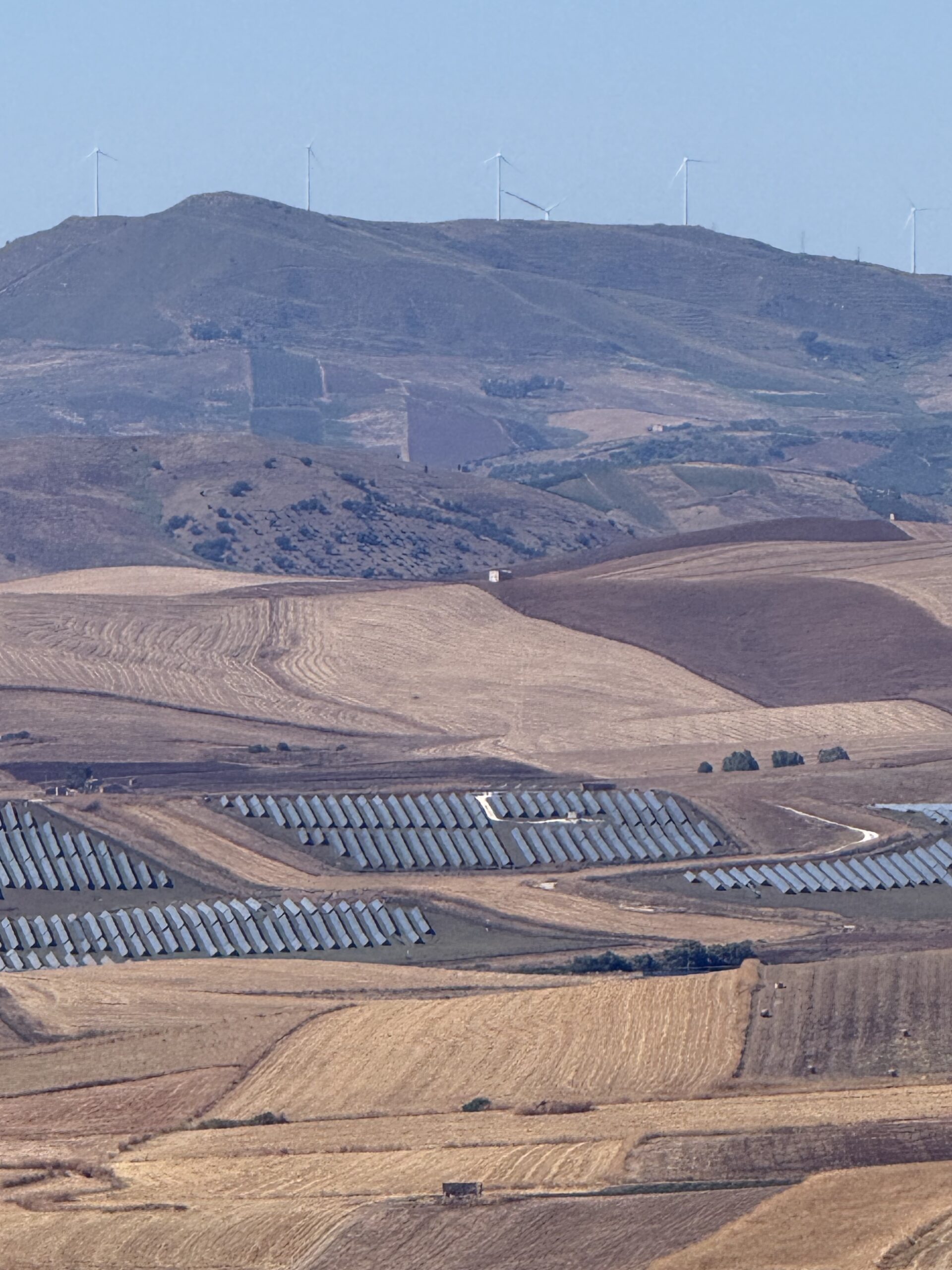 Agricoltura, il sindaco di Poggioreale: “Agricoltori siciliani saccheggiati”