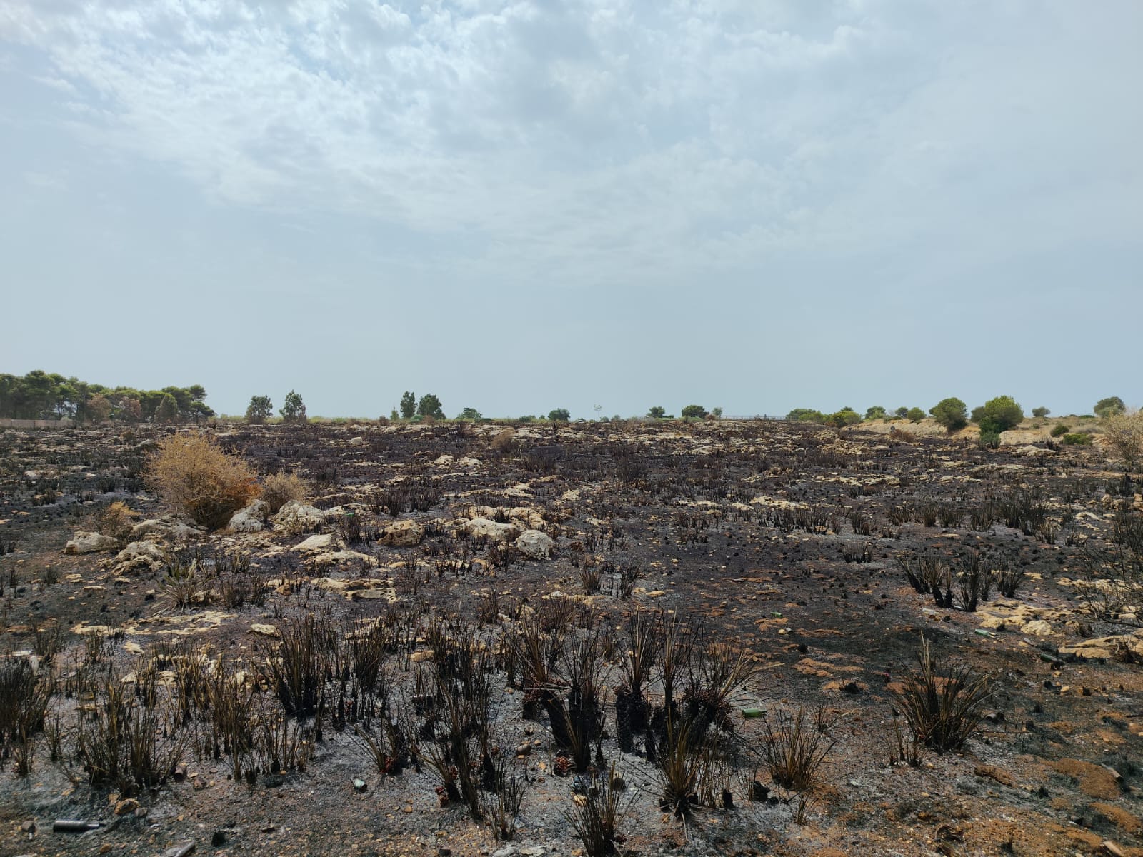 In Sicilia è ancora allerta rossa. Caldo e incendi nell’ultimo week end di agosto nell’isola