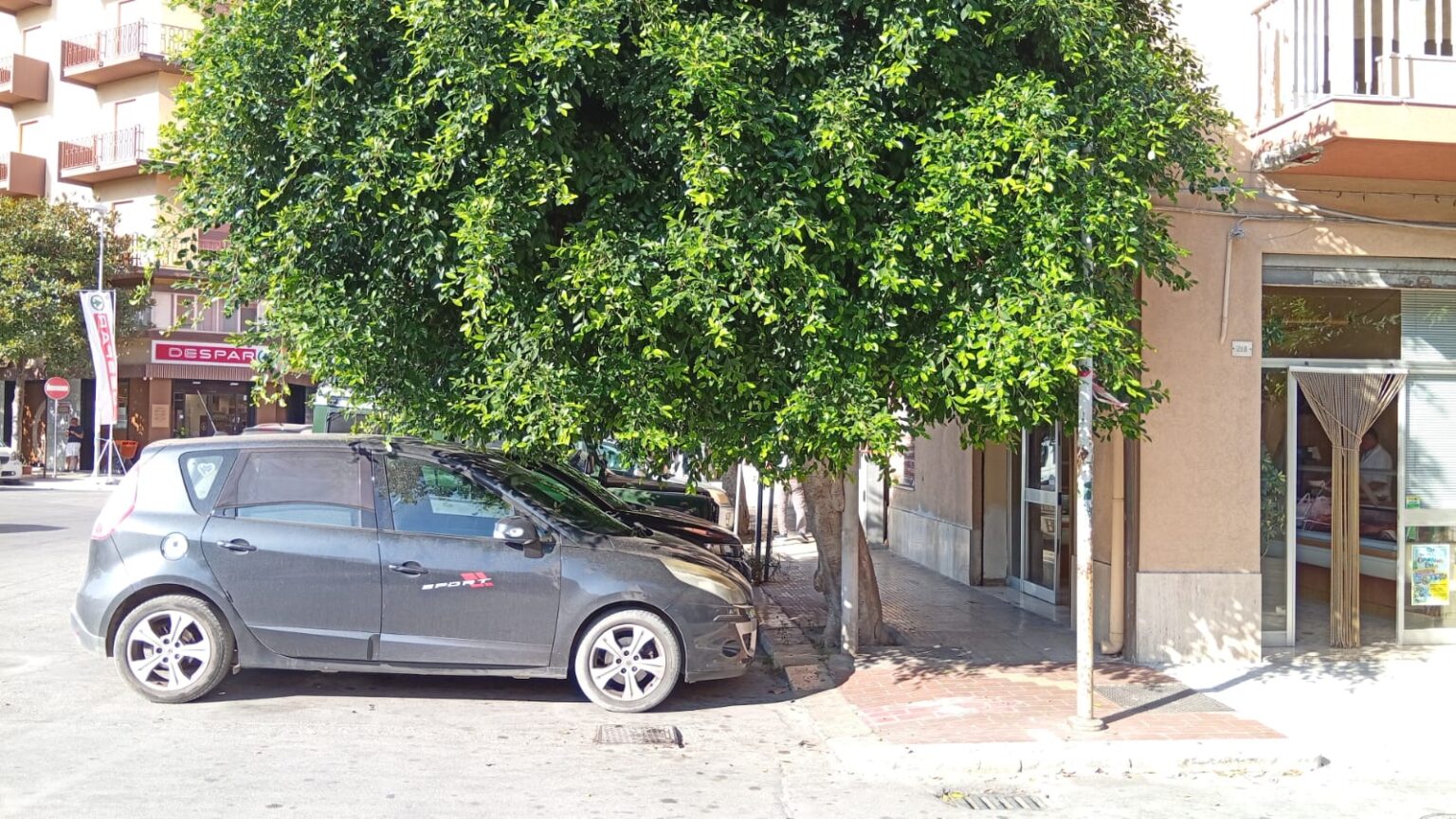 Marsala: si sistema il verde pubblico, divieti di sosta in alcune vie