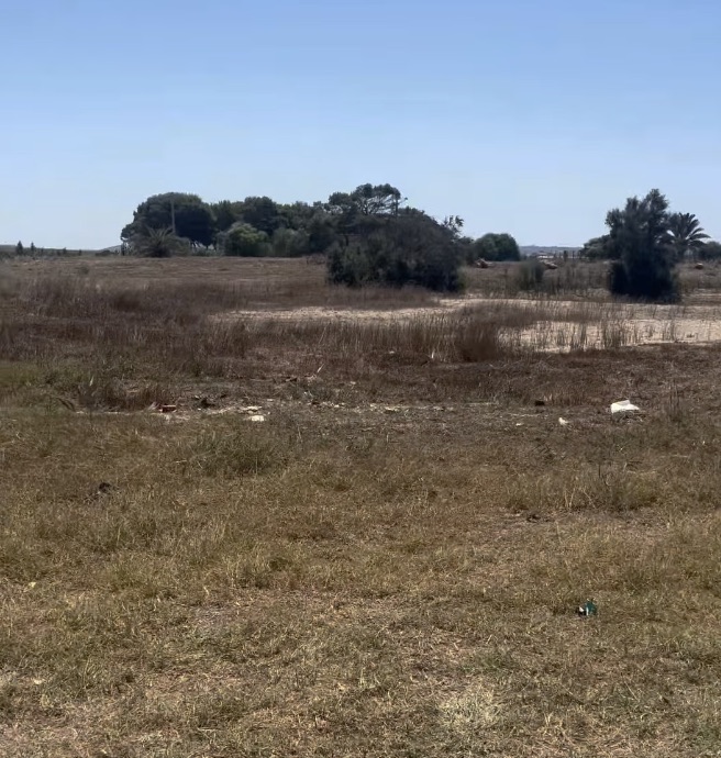 Marsala a caccia di parcheggi: sfruttare aree abbandonate o non curate si può. VIDEO