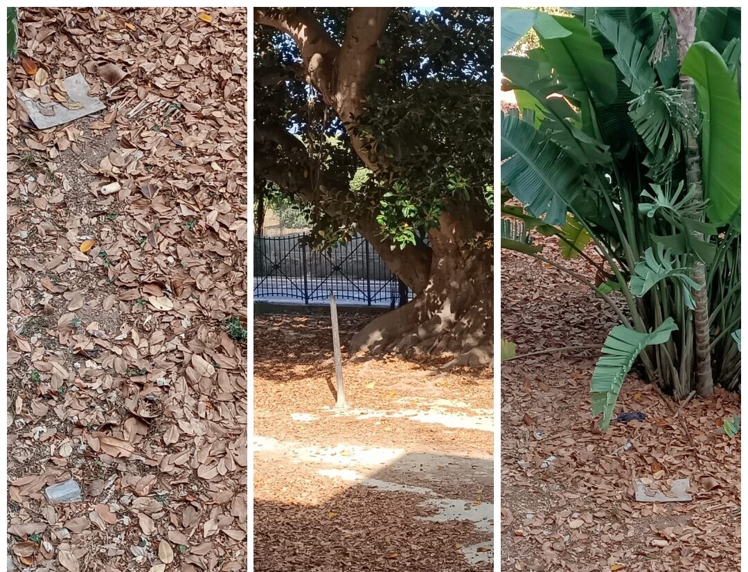 Marsala: Villa Cavallotti nel degrado, tra ratti e insetti