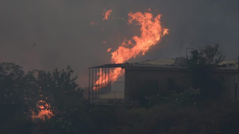Incendi, nuovo fronte di emergenza nel trapanese: si contano i danni