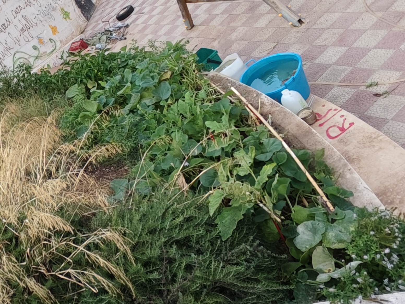 “Ridare dignità al Giardino e al Centro Sociale dedicati a Nino Via a Trapani ed Erice”