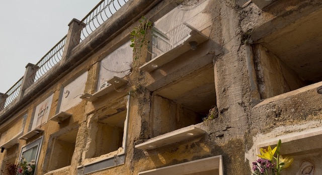 Ossa tra i rifiuti al cimitero di Marsala, “si accertino le responsabilità”