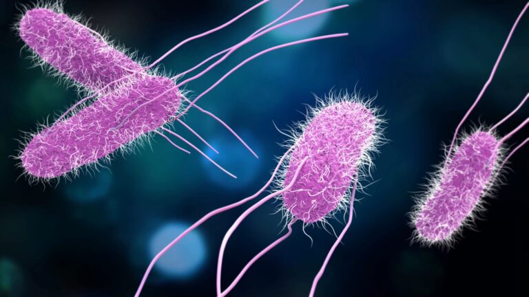 Acqua contaminata e salmonellosi, cresce il timore a Marsala e Trapani