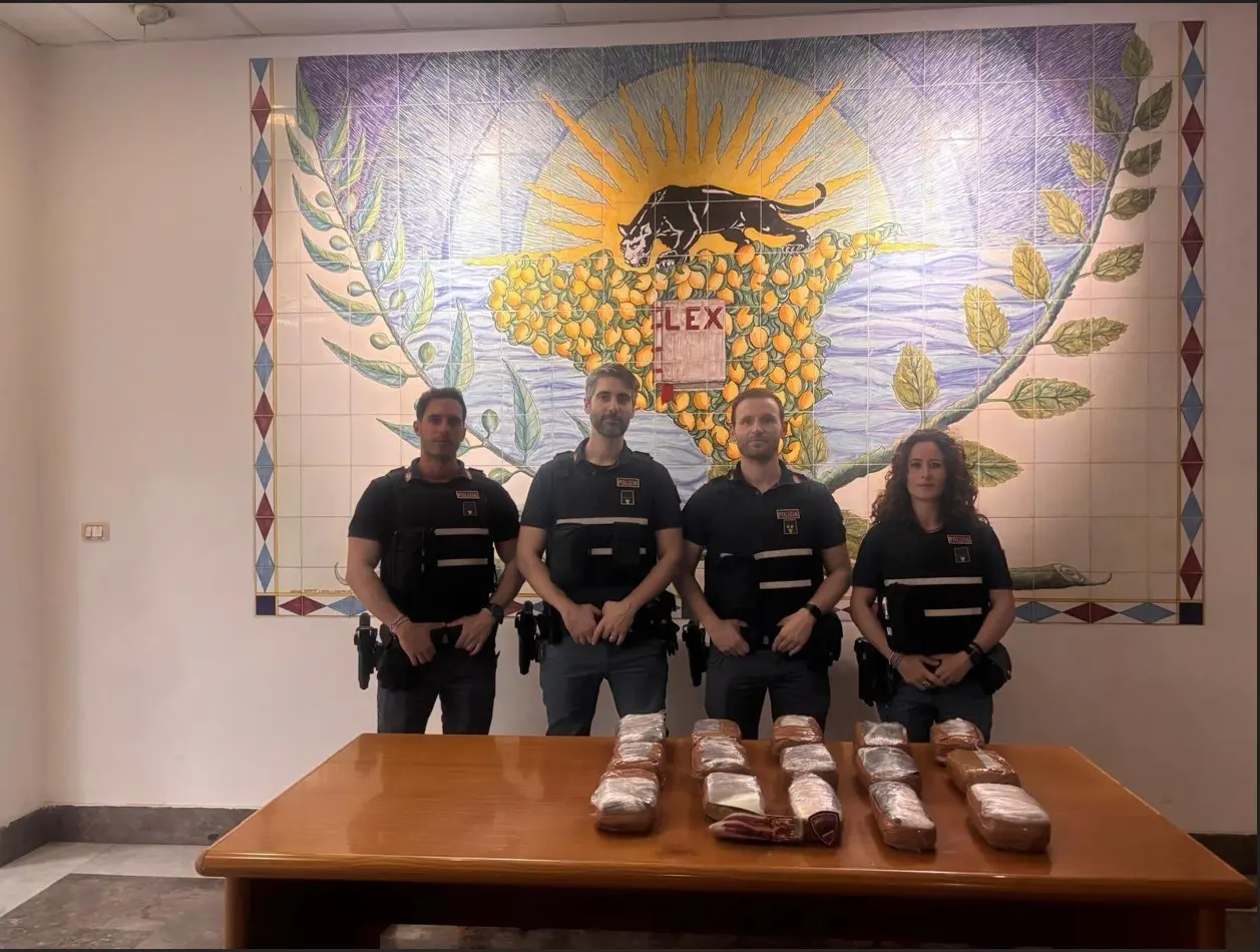 Maxi sequestro di droga a Palermo, scoperti 21 kg di cocaina nel quartiere Falsomiele