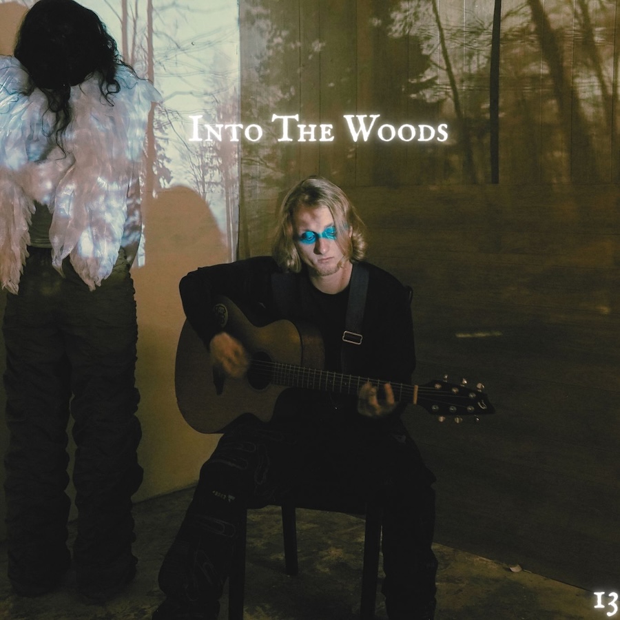Love Ghost, “Into the Woods” e “Something in the Water” i nuovi singoli di “Thirteen”. VIDEO￼